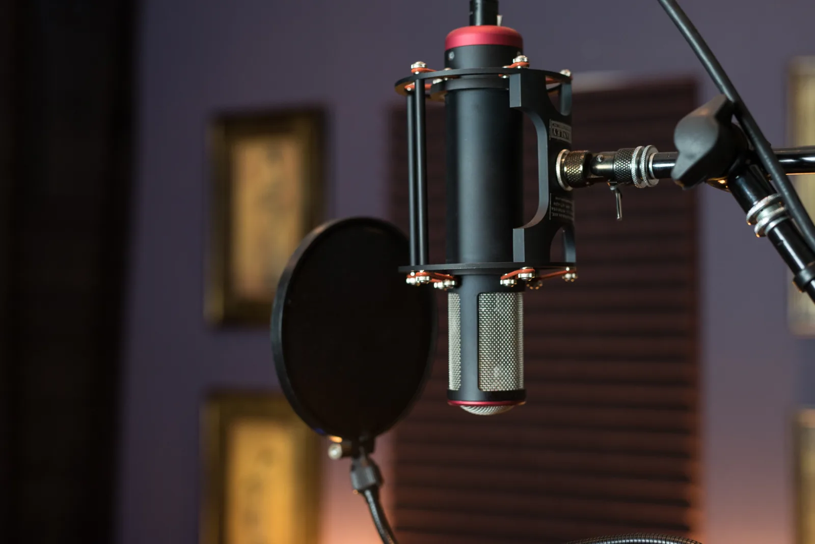Manley studio microphone prepared for recording